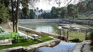 برك سليمان/ أرطاس